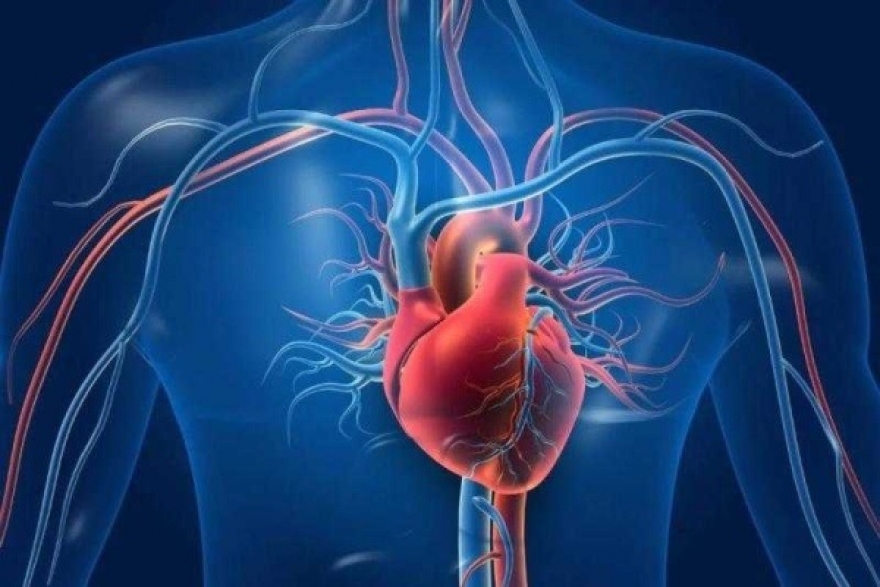 أطباء يوصون بتجنب أطعمة يمكنها أن تغذي أمراض القلب
