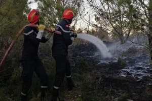 جندوبة : الحرائق تحاصر دوار القوايرية بعين دراهم