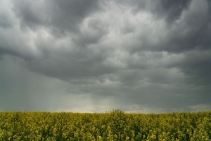 طقس اليوم الثلاثاء 3 فيفري 2026