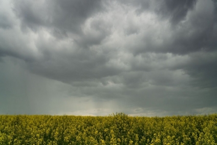 طقس اليوم الثلاثاء 3 فيفري 2026