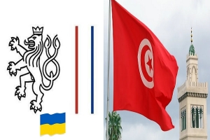 سفارة التشيك تحذر مواطنيها الموجودين في تونس وتدعوهم إلى تجنب مناطق الاحتجاجات